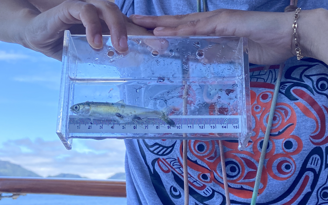 UVic’s thriving marine biology program has room to grow